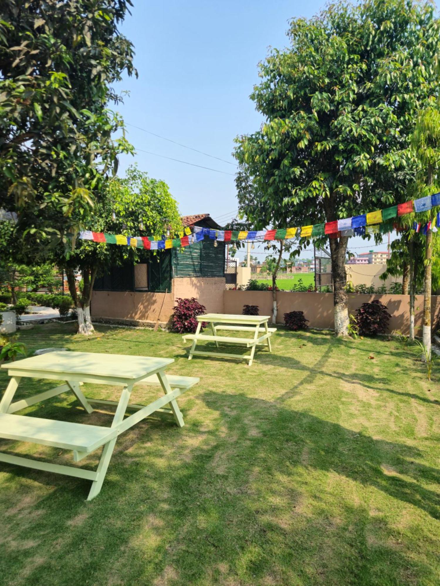 Hotel Tree Tops- A Serene Friendly Hotel In Sauraha 치트완 외부 사진